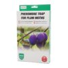 Plommonvecklarfälla 2-pack | Pestis Protect®
