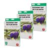 Storpack | 3 st Plommonvecklarfälla 2-pack | Pestis Protect®
